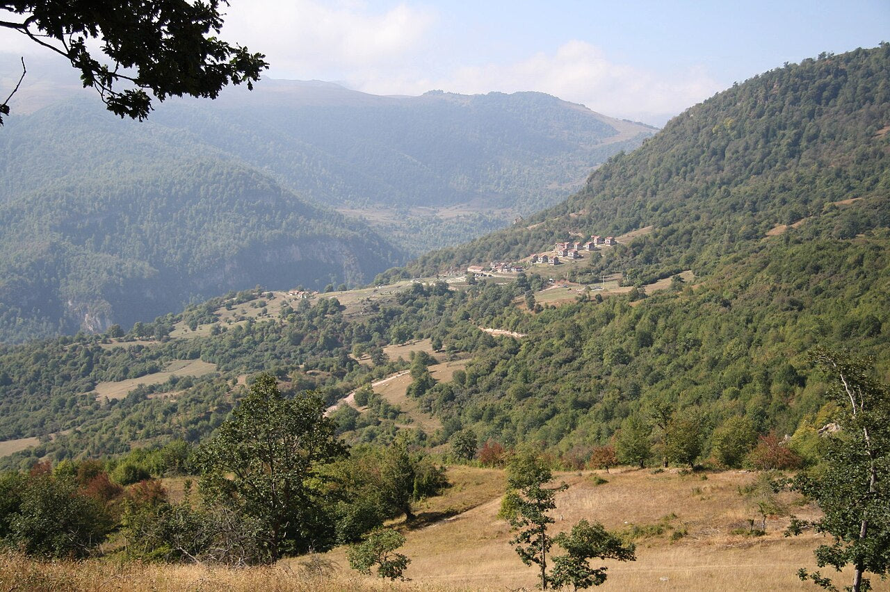 Севан – Дилижан – Иджеван – Енокаван – Ластивер – Верховая езда – Винный завод Акол