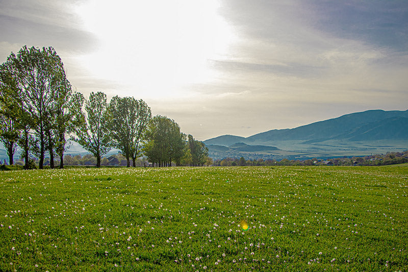 Ахпат – Санаин – Ахтала – Дсех