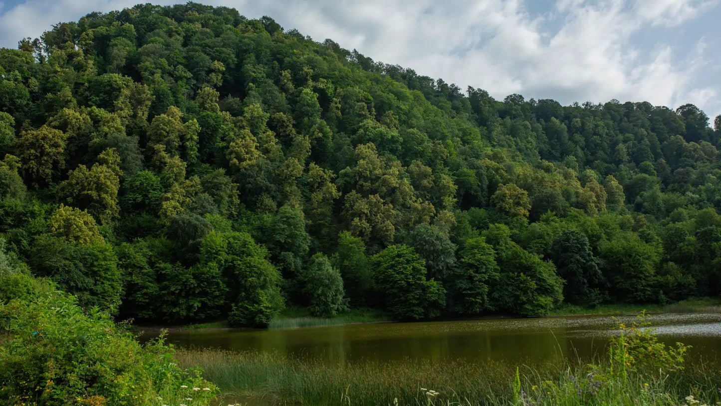 Ахпат – Санаин – Ахтала – Дсех